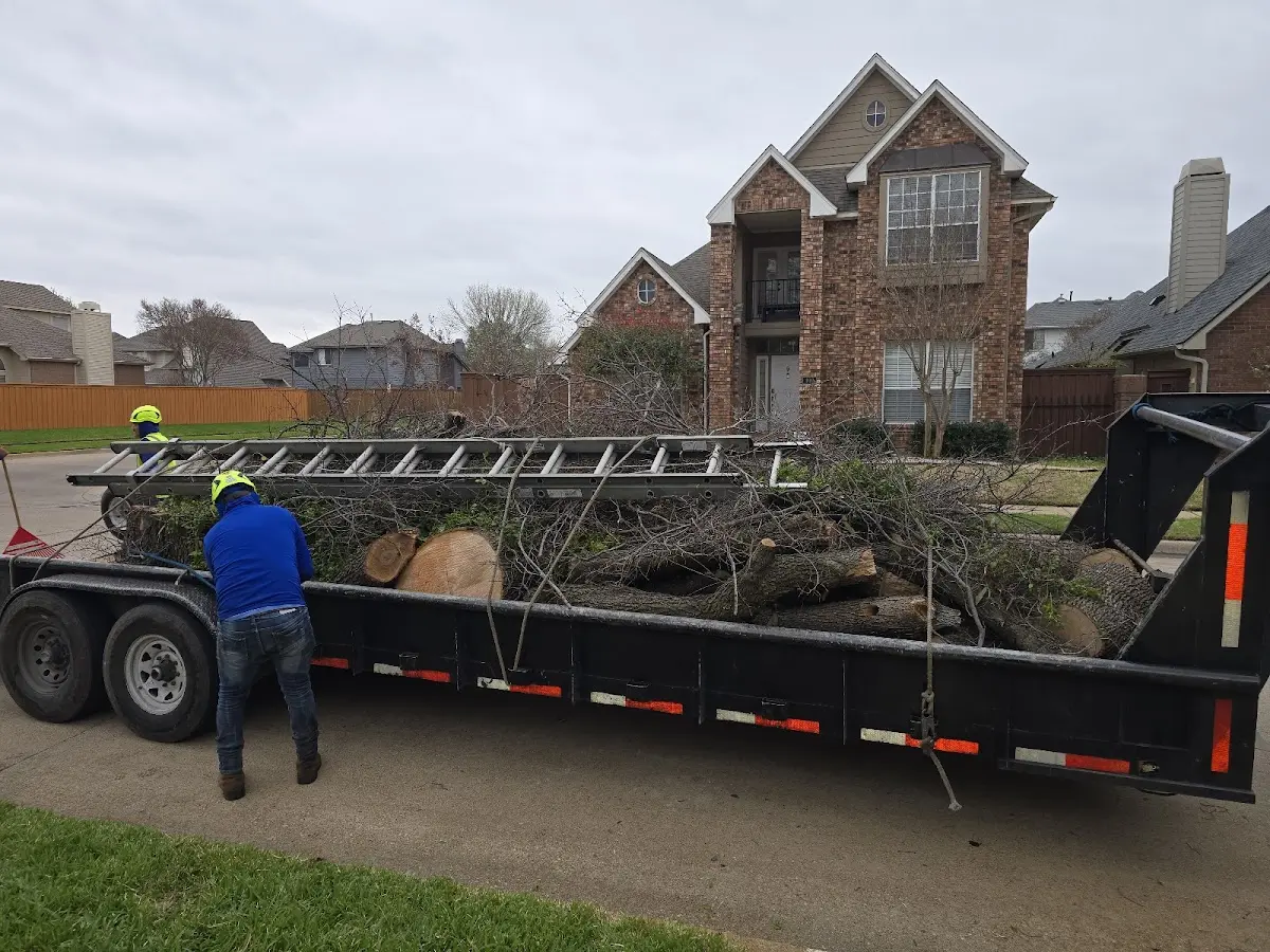 Expert Tree Fertilization with proper safety equipment in Blodgett